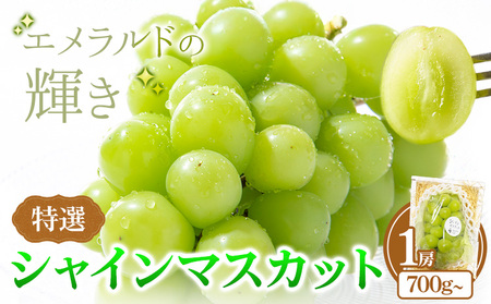 特選 シャインマスカット 1房 700g《9月上旬-10月下旬頃出荷》マスカット