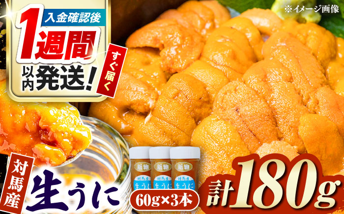 【1週間以内発送】対馬産生うに60g×3本《対馬市》【保家商事】 ウニ うに 冷凍 生ウニ 雲丹 対馬 ムラサキウニ 紫ウニ  紫うに 人気 ランキング 長崎 九州 つしま 対馬市 海鮮 魚介 [WAA009] スピード発送 最速発送 最短発送