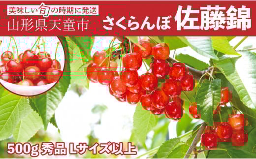 08-06-022　大玉さくらんぼ(佐藤錦)500g