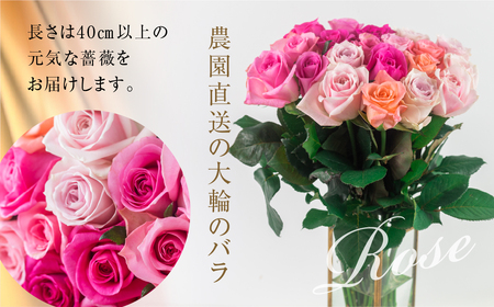 バラ 花束 大輪 ピンク 50本 (40cm) ピンクミックス ブーケ 薔薇 ローズ 生花 観賞用 プレゼント 花 ギフト 誕生日 植物 フラワー 土壌栽培 産地直送 田原市 人気 切り花 切花 28