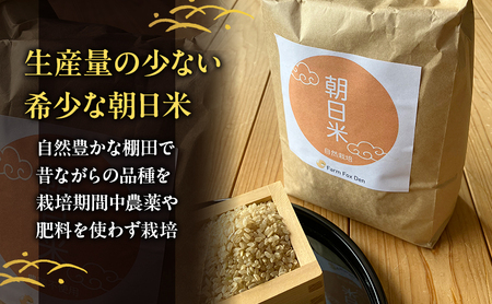 朝日米 棚田米 自然栽培 農薬・肥料不使用 朝日米【 玄米 4kg(2kg×2袋)】【先行受付 令和8年産】