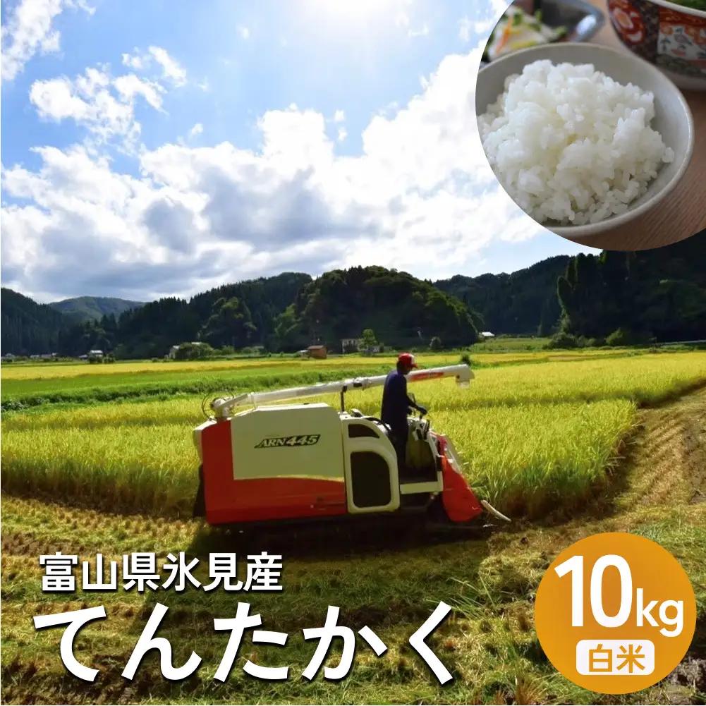 米 令和7年産 富山県氷見産 てんたかく 白米 10kg