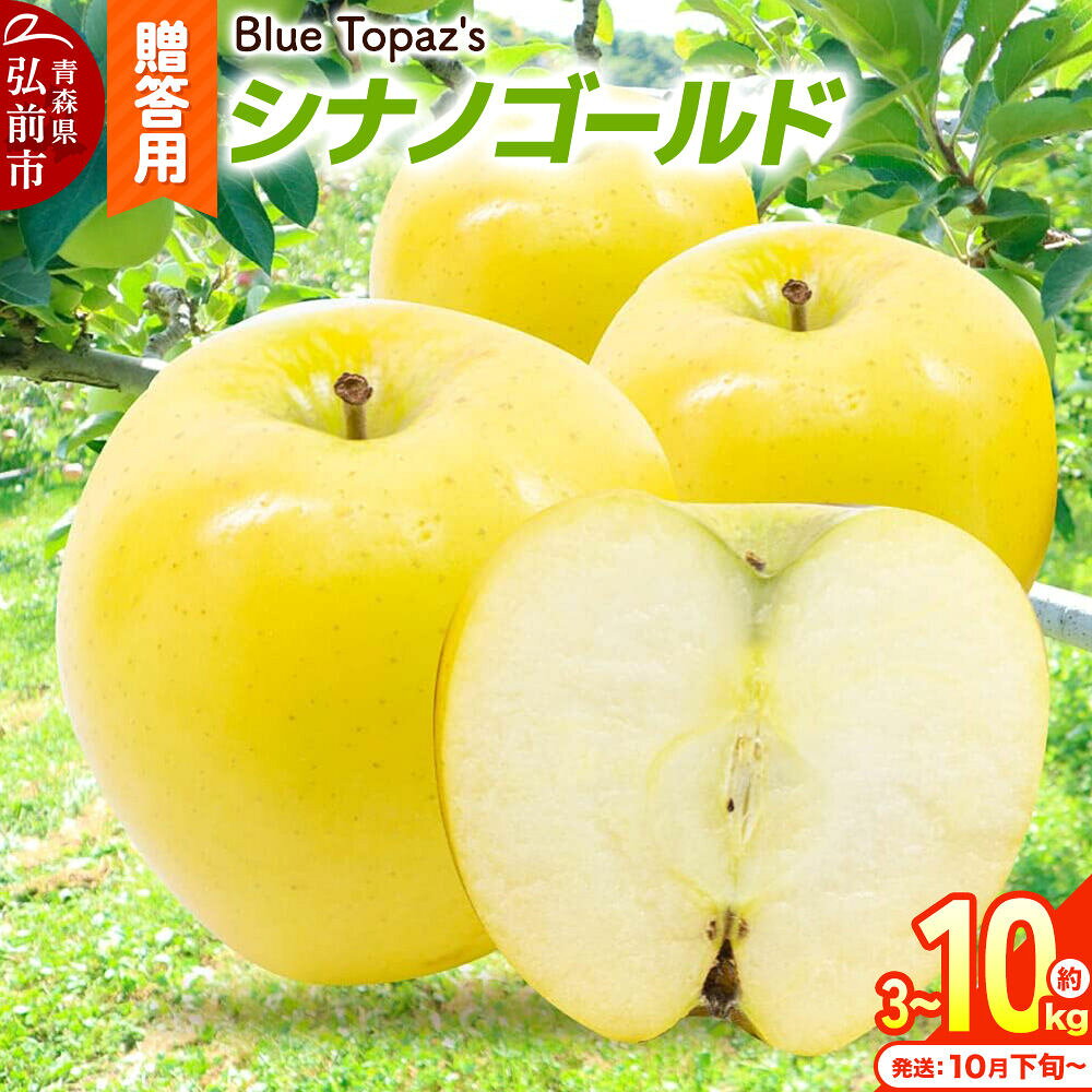 【ふるさと納税】りんご【26年10月下旬〜発送】シナノゴールド 贈答用【選べる約 3kg／5kg／10kg】内のし付き 先行受付 青森県 弘前市 [先行予約 アップル おいしい ふじ りんご 果実 果物 黄色 津軽 糖度 美味 林檎]