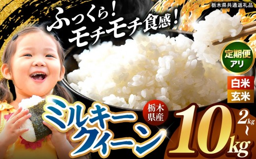 
                  【2026年先行予約】栃木県産 選べる ★玄米 or 白米★ ミルキークイーン 2kg～ 10kg | 栃木県 矢板市
                
