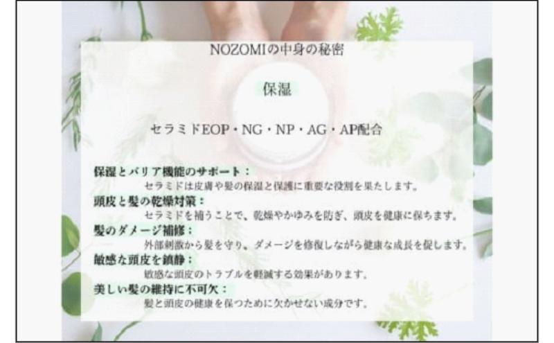 【福岡市内製造】NOZOMIボタニカルシャンプー　400ml