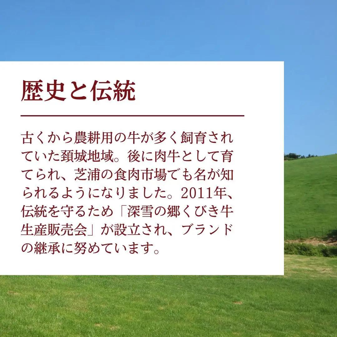【プロも高評価】くびき牛 牛肉 切り落とし くびき牛 500g