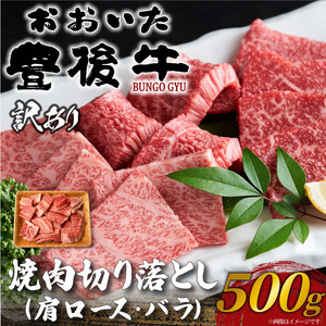 訳あり！おおいた豊後牛焼肉切り落とし 500g