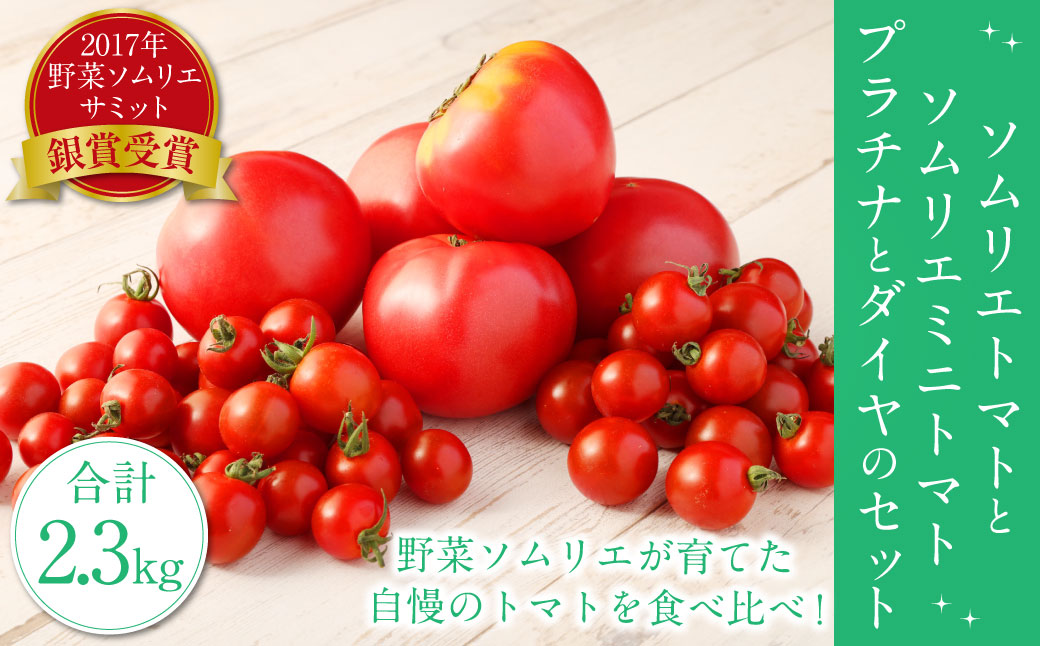 【 食べ比べ 】ソムリエ トマト1.3kg と ソムリエ ミニトマト プラチナ500g とダイヤ 500g の セット 合計 2.3kg 3種 とまと 野菜 やさい 熊本県産 国産 【2025年2月上