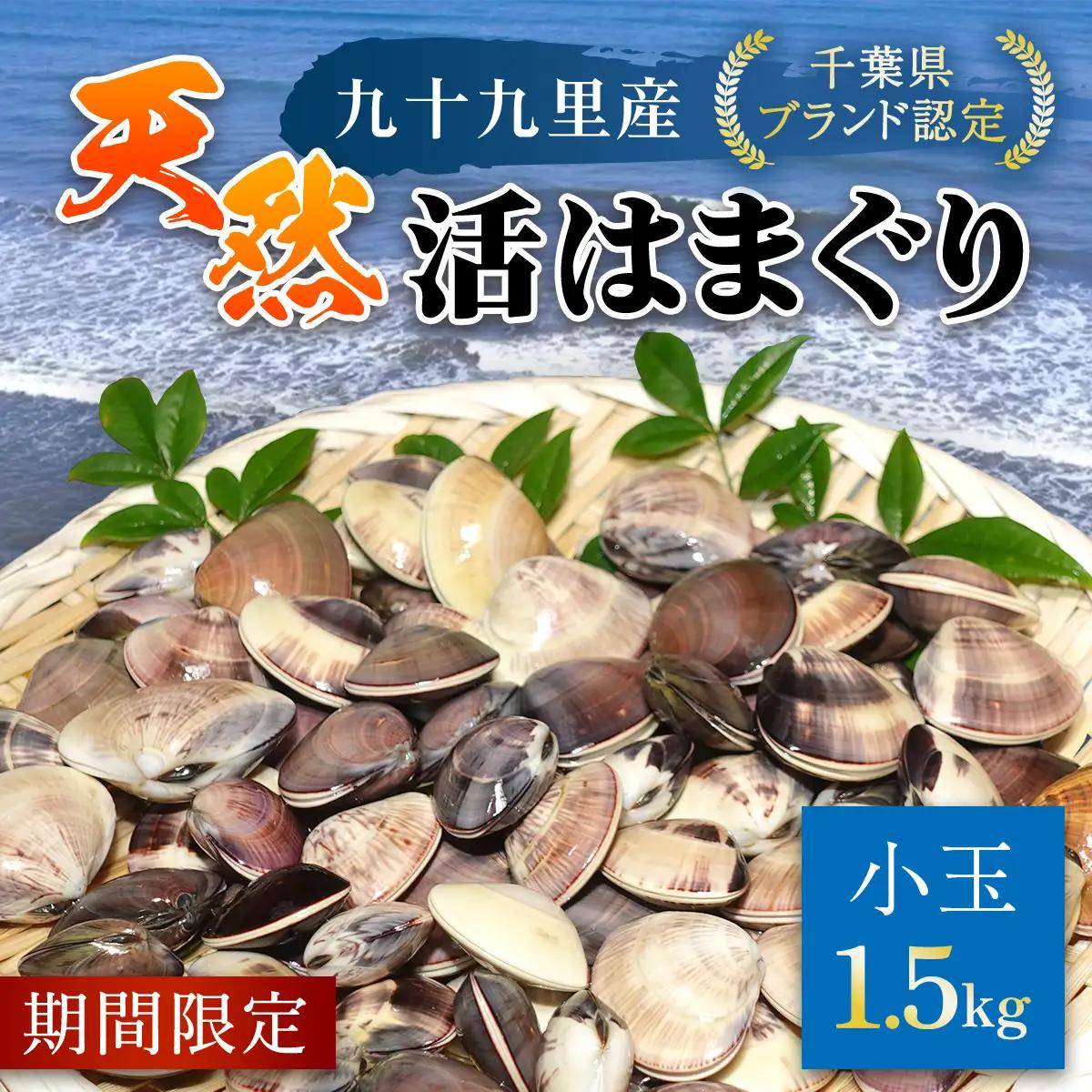 ＜先行受付/2027年5月より配送＞【千葉県ブランド認定】天然活はまぐり（小玉）《1.5㎏》／ふるさと納税 はまぐり ハマグリ 蛤 貝類 魚介 海鮮 お吸い物 パスタ パエリア お歳暮 贈答 お祝い 千葉県 山武市 SMBO001
