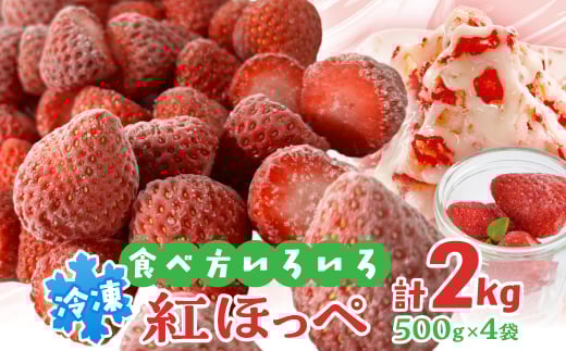 掛川産『ミズノ農園の完熟冷凍紅ほっぺ』500g×4袋【1234934】