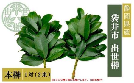 榊 出世榊 本榊 純国産 1日交換用 榊【1対(2束)】