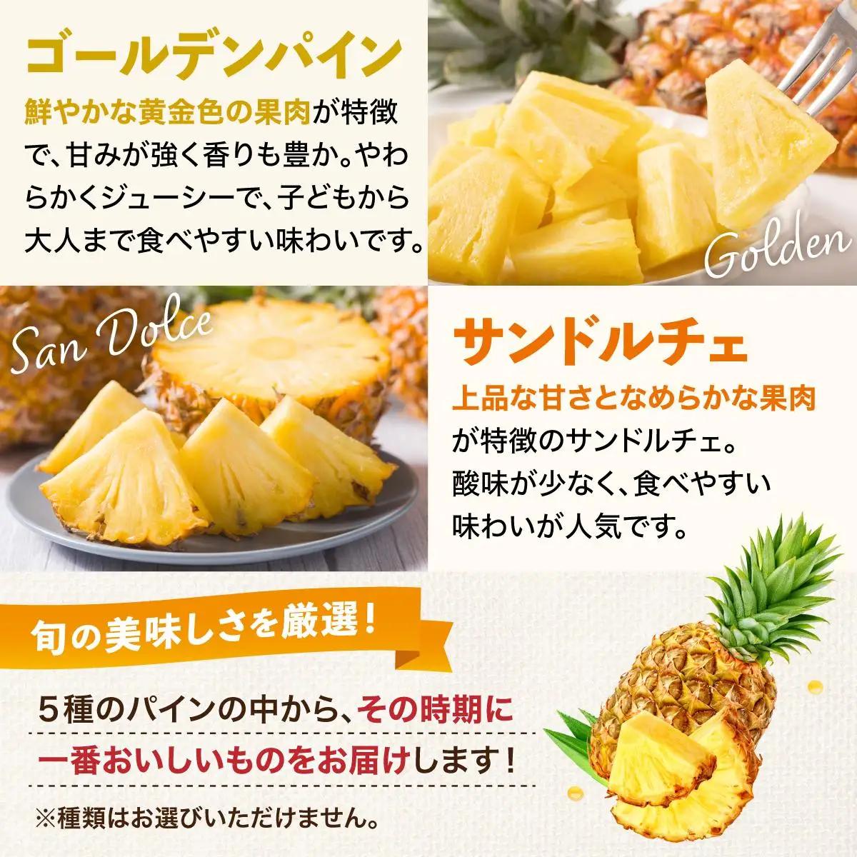 パイナップル パイナップル 詰め合わせ 約4kg 【訳あり】パイン