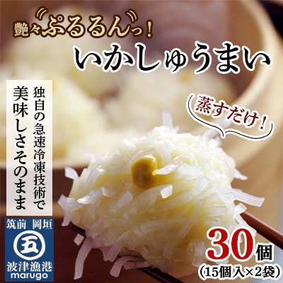 【発送月固定定期便】いかしゅうまい30個　ツヤツヤぷるるんっ。(岡垣町)全3回【配送不可地域：離島】【4002932】