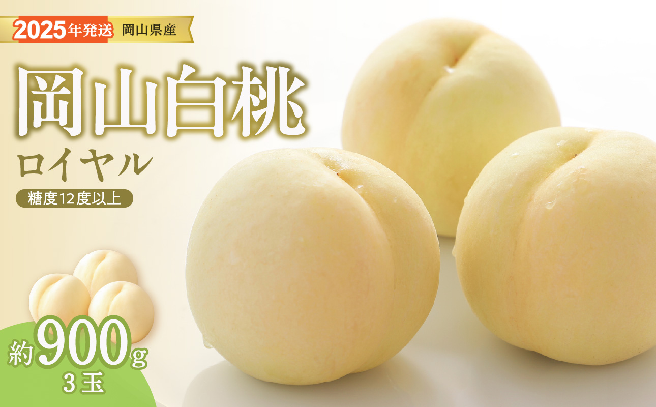 【2025年発送分 先行受付スタート】岡山県産 白桃 特秀 ロイヤル 中玉 約900g 3玉（令和７年7月～8月上旬頃発送）【 白桃ロイヤル フルーツ 果物 御中元 御祝 ギフト プレゼント もも 桃 モモ 岡山県産 ロイヤル hzP-C 】