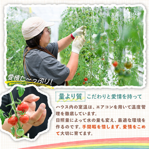 フルーツトマトジュース 180ml 5本入り