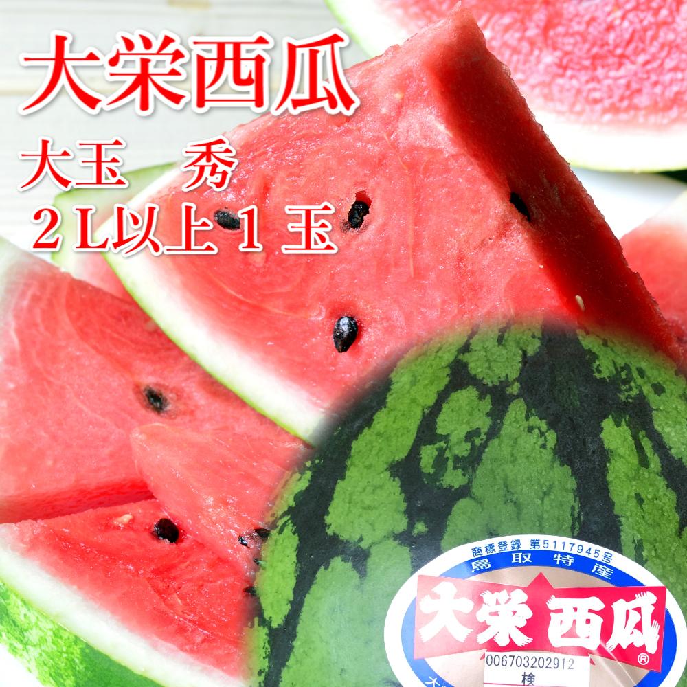 【ふるさと納税】【先行予約】大栄西瓜　1玉（高間商店）※6月中旬～7月中旬頃に順次発送予定