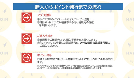 「ふくいはぴコイン」福井市ふるさと納税ポイント【15,000円分】 [E-198004] / 選べる金額 デジタル地域通貨 ホテル 観光 レジャー PAY アプリ オンライン キャッシュレス スマホ 