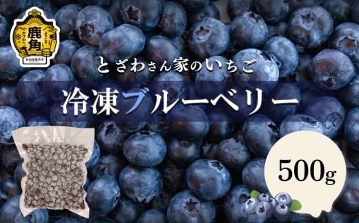 鹿角産 冷凍ブルーベリー500g×1袋（サイズMIX）【とざわさん家のいちご】旬 県産 ブルーベリー 国産ブルーベリー 真空 真空パック 小分け お中元 お歳暮 お取り寄せ 母の日 父の日 グルメ ギフト 故郷 秋田 あきた 鹿角市 鹿角 送料無料