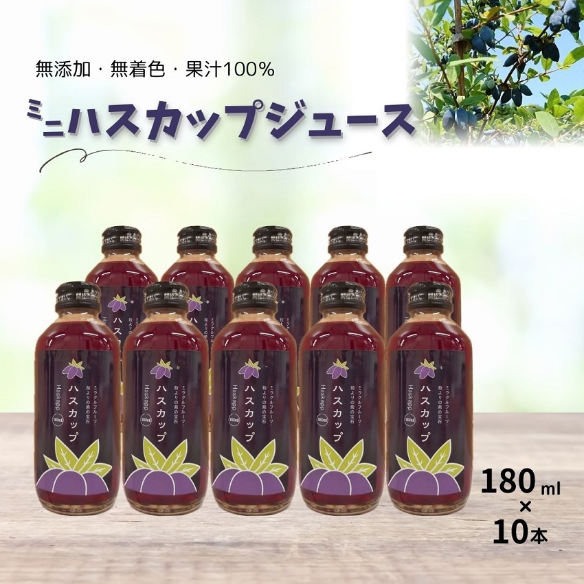 北海道　不老長寿の果実ハスカップのミニジュース10本　