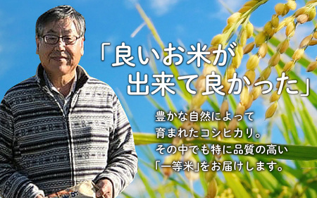 滑川産コシヒカリ（精米20kg）【通年発送】[D-007001]