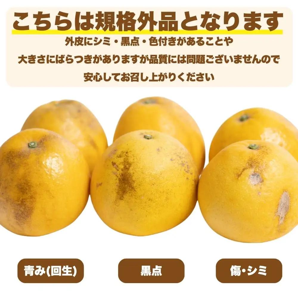 【先行予約:2027年4月下旬～順次発送】訳あり 河内晩柑 5kg 愛南ゴールド 河内晩柑 蜜柑 みかん Mikan 愛南フルーツ 愛媛 愛南