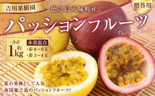 【2026年発送】先行受付 徳之島 天城町産 【贈答用】パッションフルーツ 約1kg（赤黄混合） 吉川果樹園 パッションフルーツ フルーツ 果物 赤 黄 AB-34-N