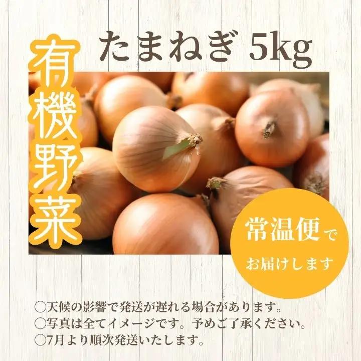 《2026年7月以降順次発送》たまねぎ5kg【一般社団法人二本松有機農業研究会】