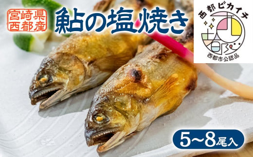 鮎の塩焼きギフト 5～8尾入り ＜25-7a＞川魚 鮎 あゆ★