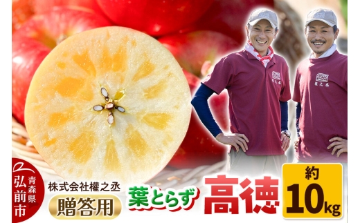 【26年11月～発送】りんご 高徳（こうとく）【贈答用】約10kg 權之丞 葉とらずりんご 青森りんご 先行受付 青森県 弘前市 果物 フルーツ 林檎 リンゴ くだもの ギフト 贈り物 [先行予約 産地直送 弘前市産 アップル おいしい 果実 美味 甘い 赤色]