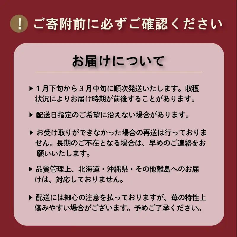 先行予約 いちご 苺 贅沢 食べ比べセット 紅ほっぺ おいCベリー 贈答品 計2パック：18～27粒 （2027年1月発送開始） | 厳選 贈り物 ギフト お取り寄せ 苺 いちご 大粒 南国市
