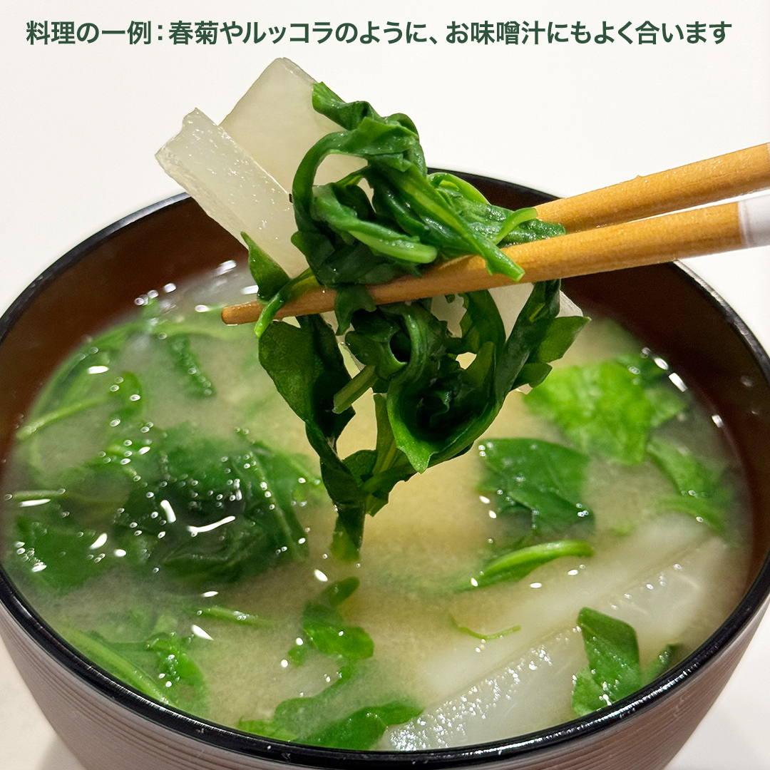 つくばみらい市 で栽培した セルバチカ ( ワイルドルッコラ ) 500g サラダ さらだ ルッコラ ハーブ 新鮮 国産 辛い セルバチコ ベビーリーフ イタリア野菜 イタリア料理 イタリアン パスタ