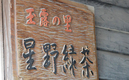 【2026年産】八女抹茶こまかげ20g 薄茶用 [BGAA026]八女抹茶