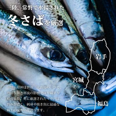ふるさと納税 名取市 魚のおんちゃま 三陸常磐産 サバ 骨取切り身 30g×20枚入 |  | 01