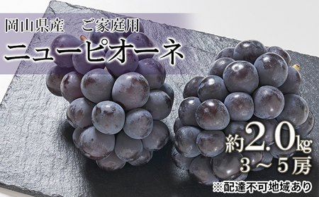 ぶどう 2026年 先行予約 ご家庭用 ニュー ピオーネ 約2.0kg （3～5房） ぶどう