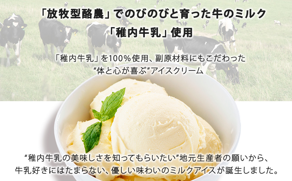 【業務用】稚内牛乳 アイスクリーム 2L×2個（バニラ & 宗谷の塩）と珍味ホッケ燻製