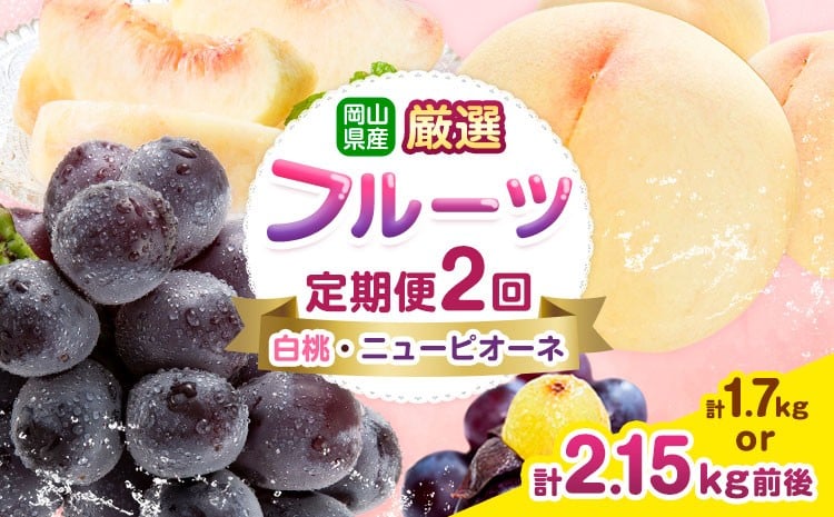 
                  岡山県産 厳選 フルーツ 定期便 2回 白桃 ニューピオーネ 選べる 計1.7kg前後 計2.15kg前後 株式会社藍《2026年7月上旬-9月末頃出荷》 岡山県 浅口市 岡山県産 白桃 桃 ニューピオーネ 種無し 旬 フルーツ 果物 くだもの 送料無料 【配送不可地域あり】
                