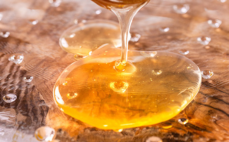 道の駅で大人気のハチミツ(使い勝手の良いプラ容器300g×2本)【1657883】