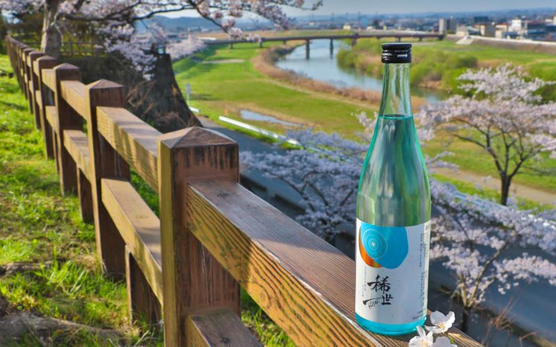 【あら茶屋】【令和5酒造年度全国新酒鑑評会金賞受賞の平孝酒造で醸造！】 涌谷町黄金大使安野希世乃さんプロデュース 令和6年産 純米大吟醸 『稀世』 新酒・秋上がりセット 各720ml 計2本 （オリジ