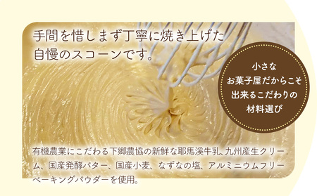 国産発酵バター仕込み濃厚リッチな九州産生クリームスコーン プレーン4個セット | お菓子 菓子 おかし 洋菓子 焼き菓子 イギリス菓子 プレーンスコーン おやつ デザート スイーツ 手作り ティータイ