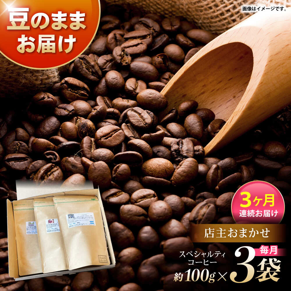 【ふるさと納税】【3回定期便】自家焙煎スペシャルティコーヒーおまかせセット(豆のまま) / スペシャルティコーヒー ブレンド コーヒー / 諫早市 / R and R coffee labo [AHCJ017]