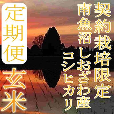 ふるさと納税 南魚沼市 【発送月固定定期便】【玄米15Kg】生産者限定 南魚沼しおざわ産コシヒカリ全9回 |  | 01