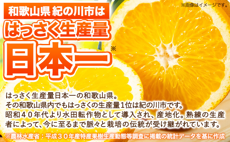 八朔 約10kg ｍ＆ｎ果実園《2027年1月下旬-3月中旬頃出荷》和歌山県 紀の川市 果物 フルーツ はっさく 柑橘類 送料無料---wsk_mnk1_h13_23_13000_10kg---