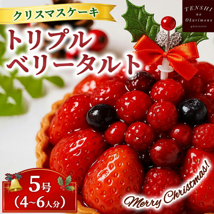 【ふるさと納税】クリスマスケーキ　トリプル ベリー タルト 5号 4-6人分　パティスリー天使のおくりもの ※離島への配送不可 ※2025年12月上旬～12月下旬頃に順次発送予定