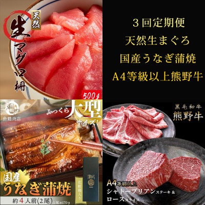 【毎月定期便】紀州和歌山うまいもんセットA(生まぐろ・うなぎ蒲焼・熊野牛)全3回【配送不可地域：離島・北海道・沖縄】【4057117】