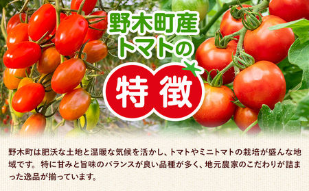 T02 栃木県野木町産ミニトマト小箱（約1.5kg）