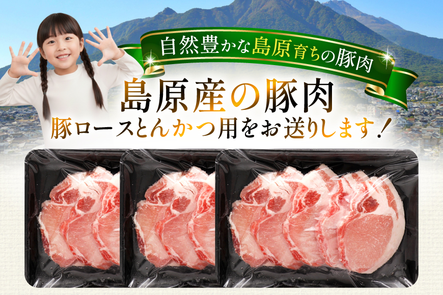 AK033 豚ロース とんかつ用 500g 3パック 計1.5kg [ 豚肉 ロース 小分け 肉 お肉 BBQ バーベキュー 焼肉 アウトドア スターゼン 長崎県 島原市 ]_イメージ2