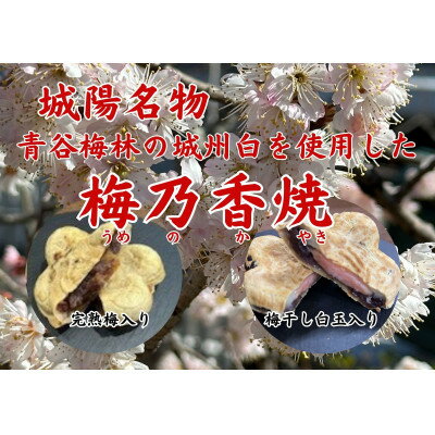 【ふるさと納税】京都府城陽市　青谷梅林の城州白を使用した新しい甘味　梅乃香焼セット　　　【配送不可地域：離島】【1541675】