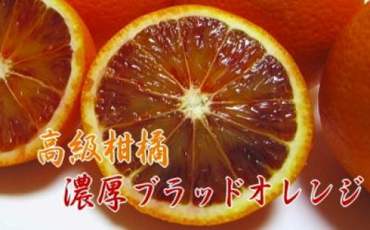 
                  【高級柑橘】和歌山県産ブラッドオレンジ タロッコ 約2kg【MS93】
                