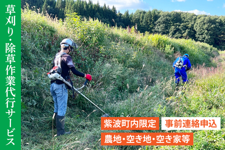 DQ001 【要事前連絡】草刈り、除草作業サービス（農地、空き地、空き家等）