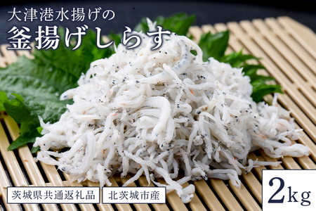 大津港水揚げの釜揚げしらす ２kg（茨城県共通返礼品・北茨城市産） HD-002